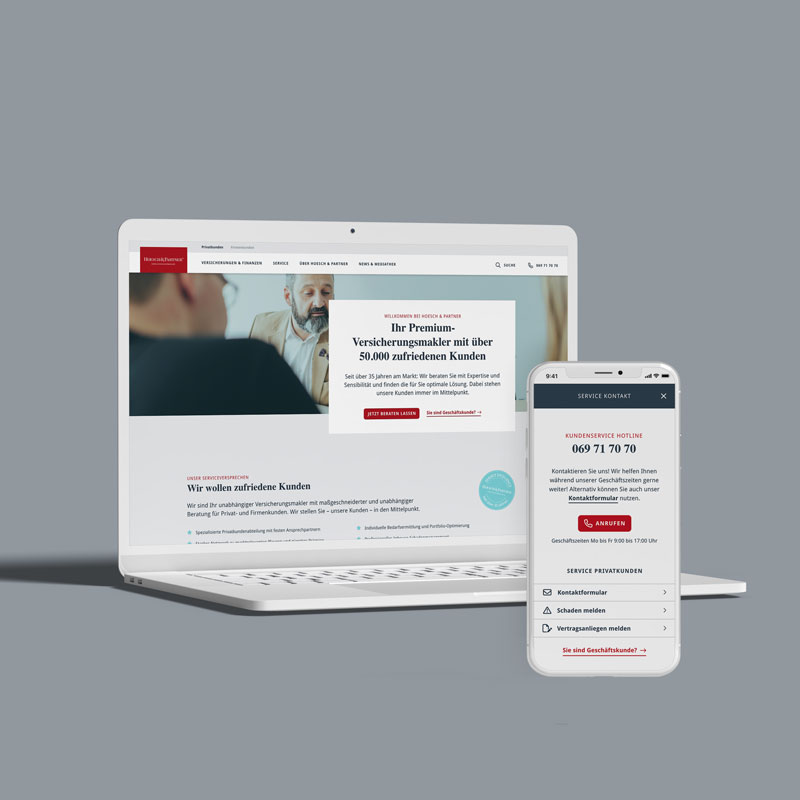 Hoesch & Partner <span>Website</span>